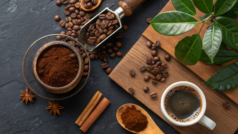 Coffee beans and coffee on display on a slate surface with wood, cinnamon, and plants around.