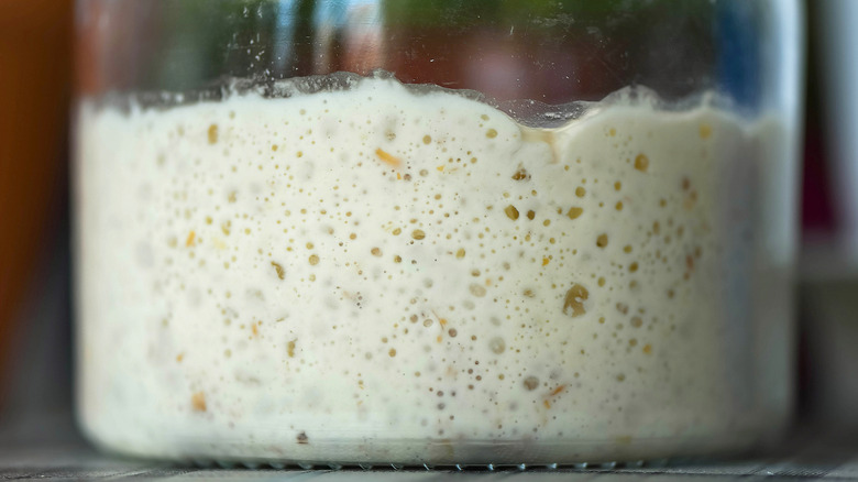 A clear jar filled with bubbling sourdough starter