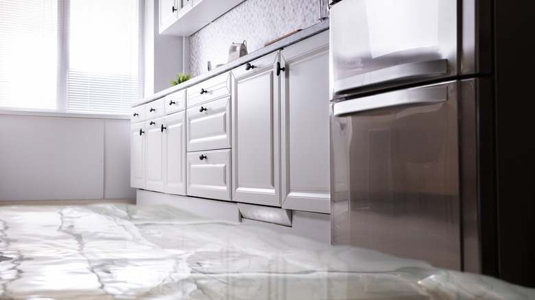 A puddle of water on the kitchen floor in front of a French door refrigerator