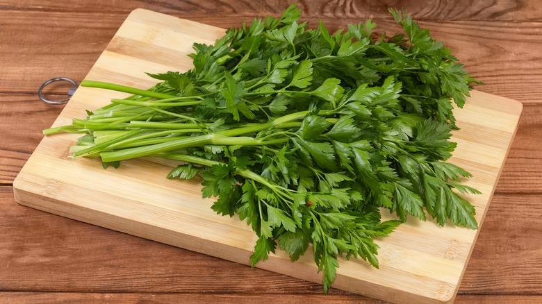 A bamboo cutting board with a fresh bunch of cilantro on it