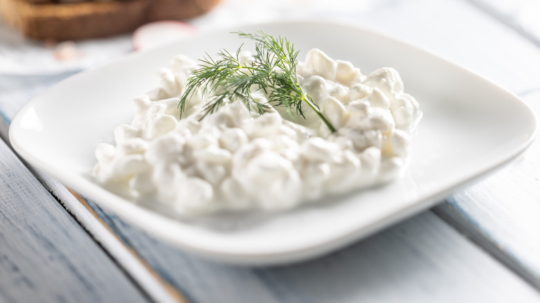 Cottage cheese on a small white plate