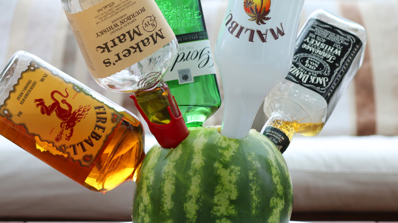 Watermelon spiked with different alcohols