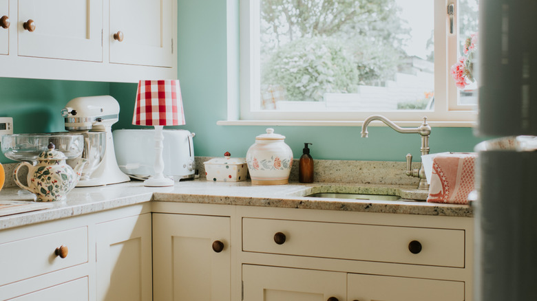 A cluttered kitchen counter in a home.
