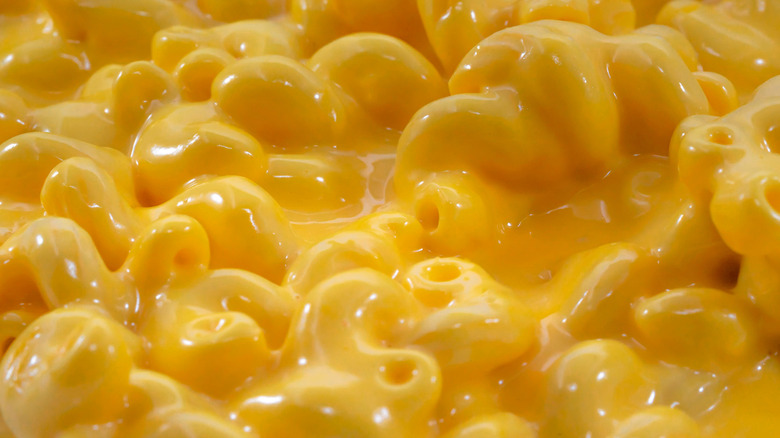 Close-up of mac and cheese made with elbow macaroni