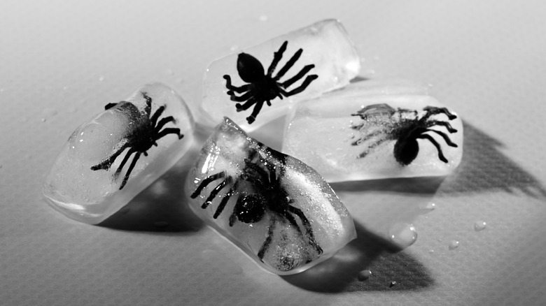 Fake spider ice cubes