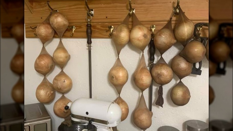 Onions stored in pantyhose in kitchen