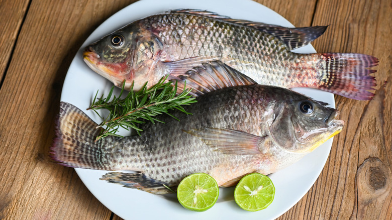 Tilapia fish arranged on a plate with herbs and citrus