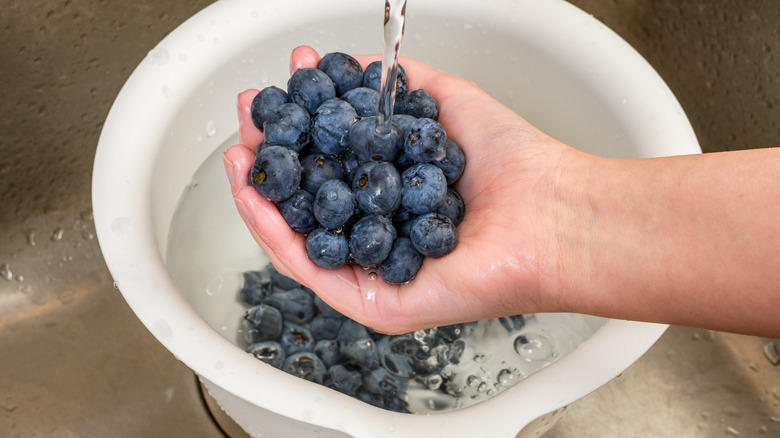 Hand holding blueberries under running water over bowl
