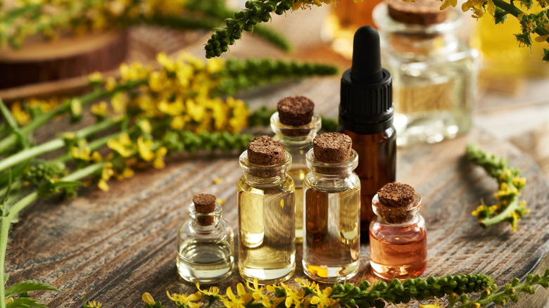 An array of essential oils in glass bottles
