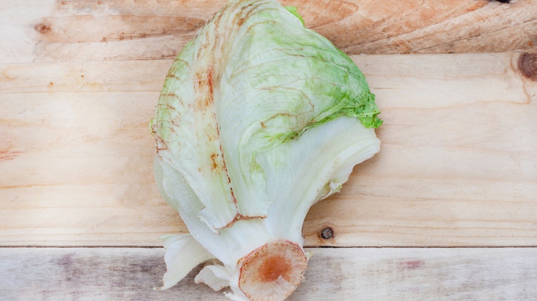A close up of lettuce that is turning pink