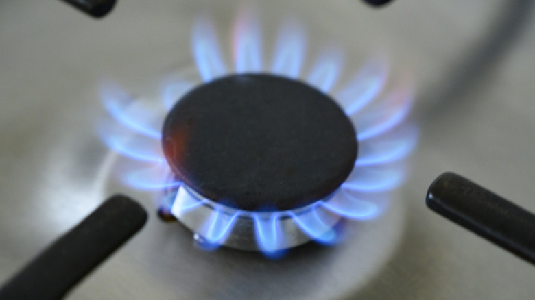 Closeup of a gas burner with a blue flame