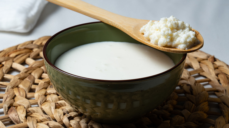 bowl of milk with spoon on top holding kefir grains
