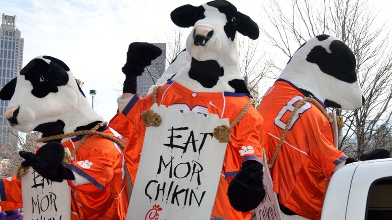 Chick-fil-A cow mascots wearing signs reading "Eat Mor Chikin"