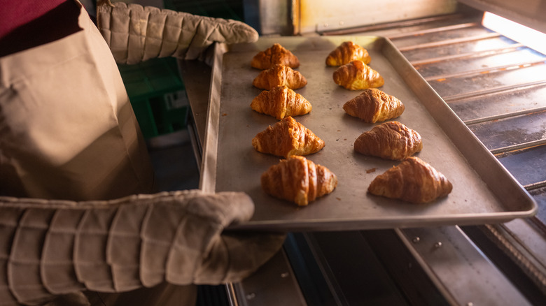Baking sheet with freshly baked rolls being taken out of a hot oven