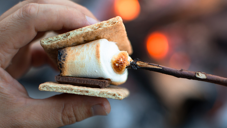 Hand gripping s'more with toasted marshmallow on stick