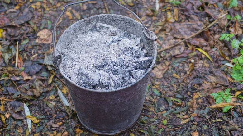 Bucket full of ash