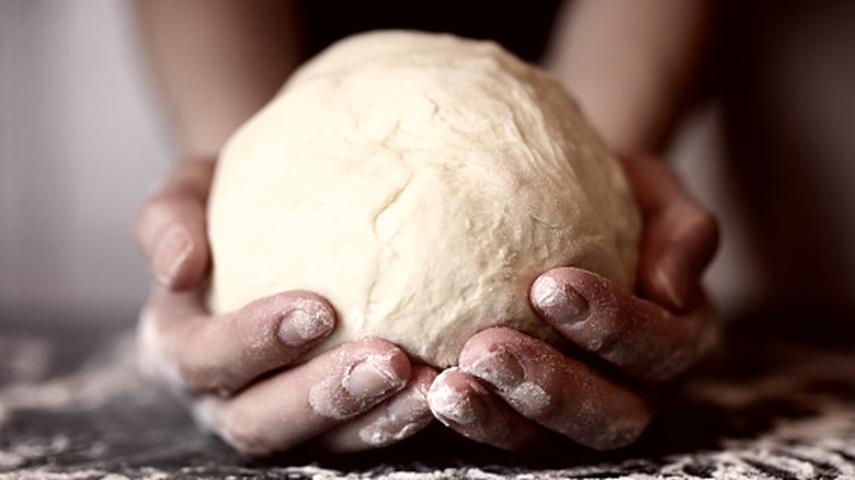 Hands holding a ball of dough.