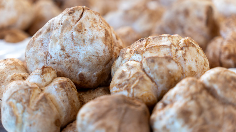 An assortment of fresh, whole white truffles