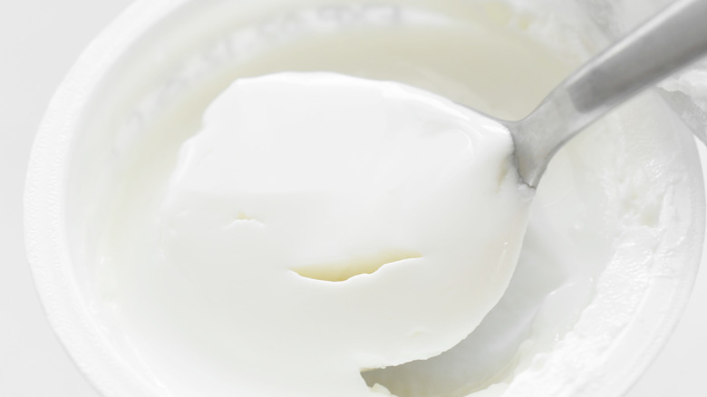 Greek yogurt being spooned