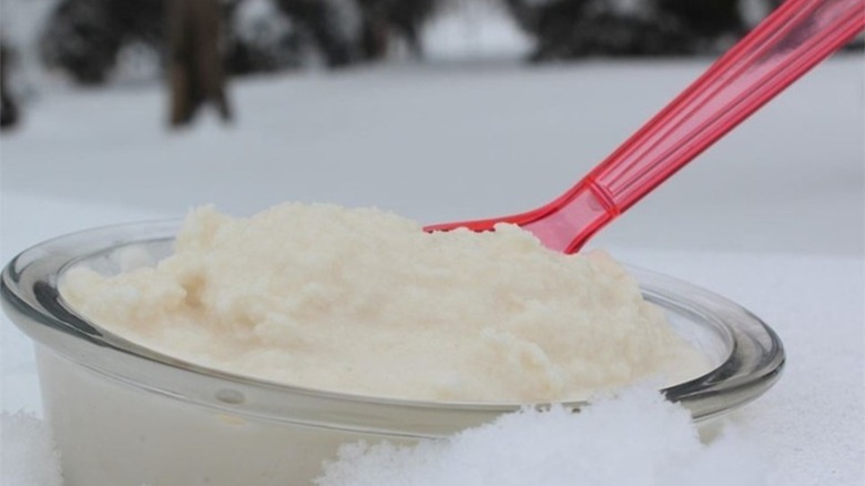 bowl of snow cream in the snow