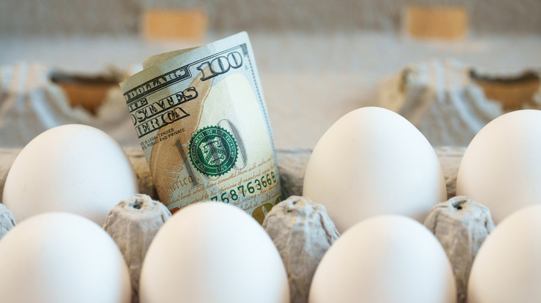 A $100 bill in slot of an egg carton with eggs in other carton slots