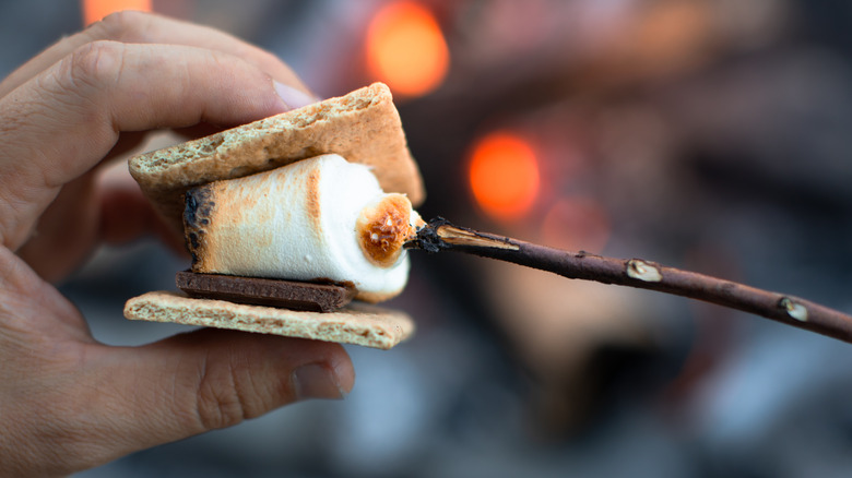 Sandwiching a roasted marshmallow in a s'more