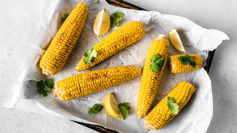 Oven-baked corn on the cob on a baking tray