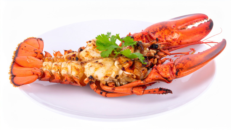 Whole grilled lobster
