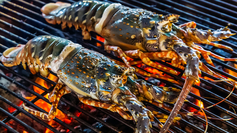 Grilling whole lobster