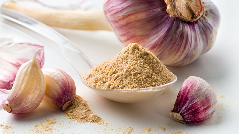 Purple garlic cloves with a spoonful of garlic powder