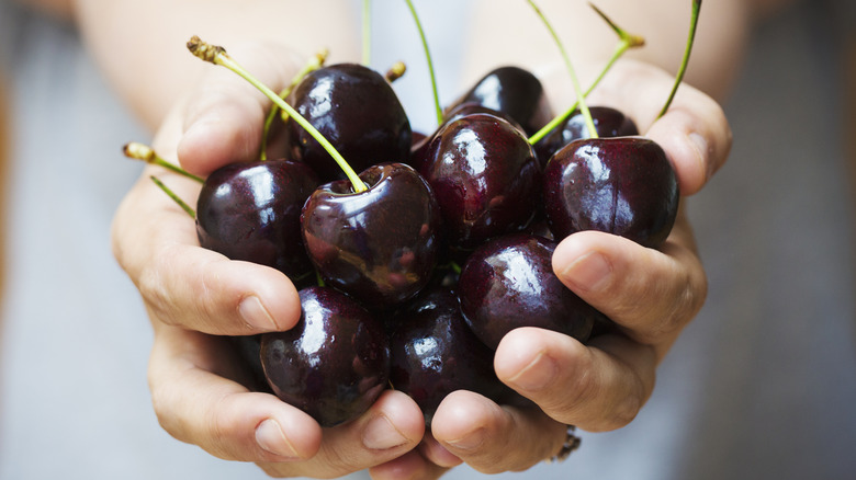 Person holding cherries in their hands