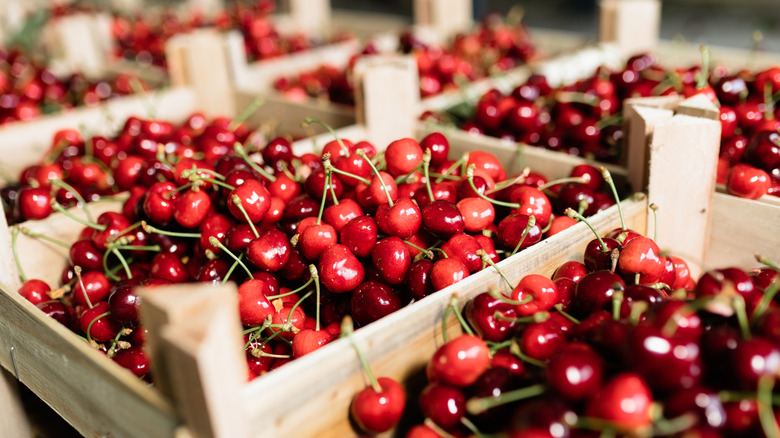 Baskets filled with ripe red cherries with vibrant colors at a market