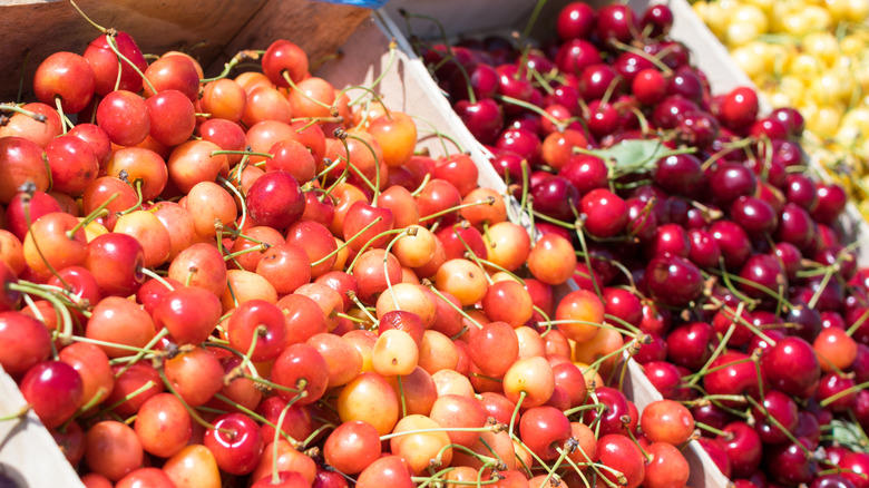 Colorful cherries in boxes