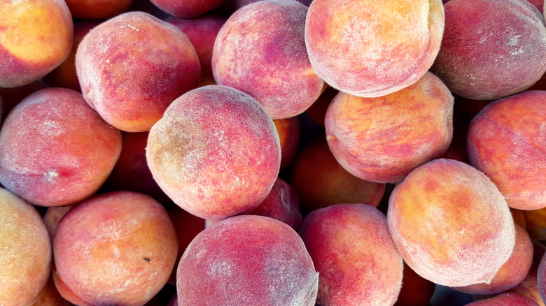Several ripe pink peaches