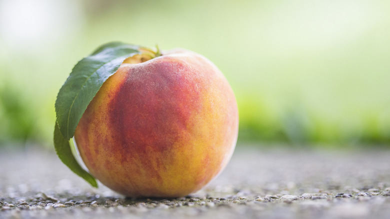 A peach with stem and leaves