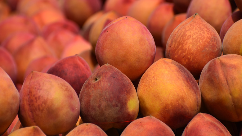 Rows of peaches