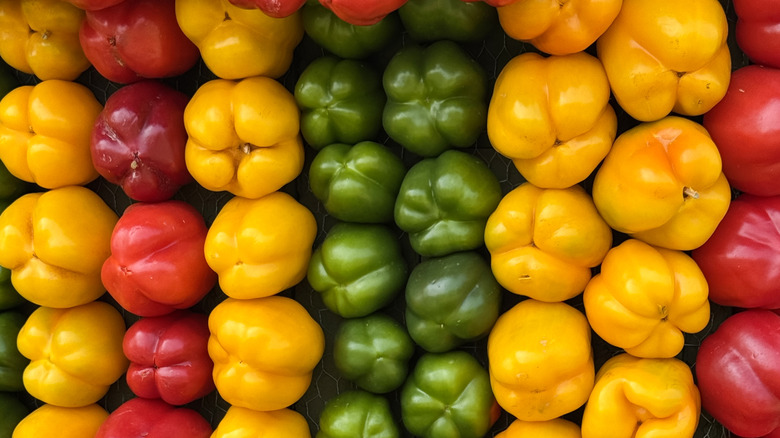 different colored bell peppers lined in columns