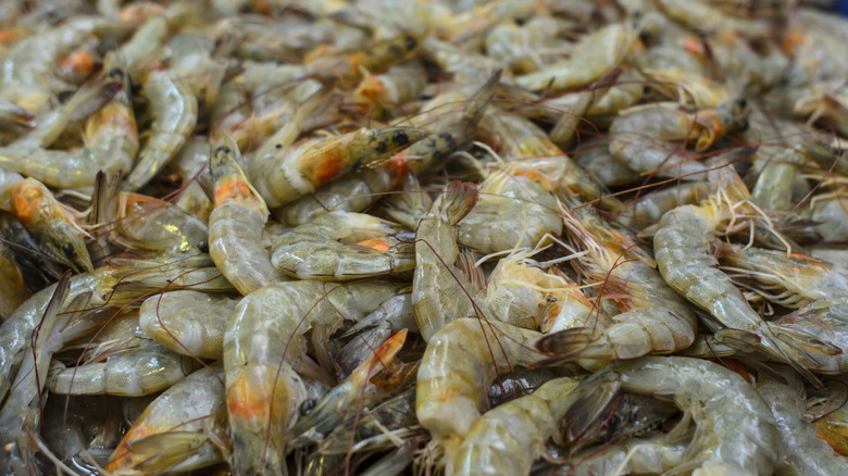 Pile of raw shrimp with heads on