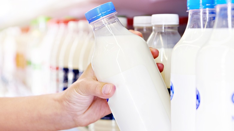 Person's hand reaching fro 16-ounce bottle of milk in a clear bottle with blue lid next to other milks on shelf