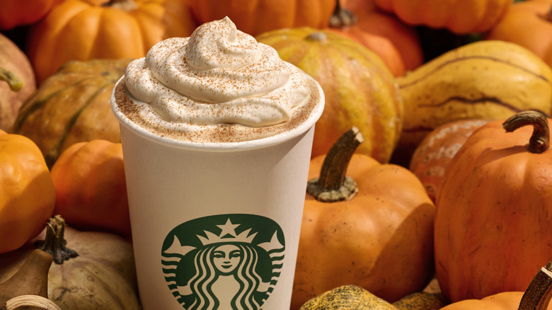 Starbucks pumpkin spice latte in a pumpkin patch