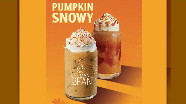 Human Bean Pumpkin Snowy
