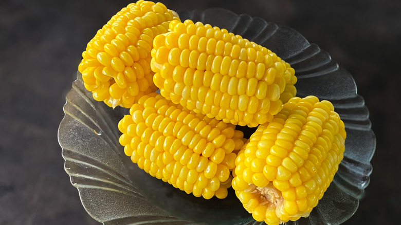 Pieces of boiled corn on the cob on a glass plate