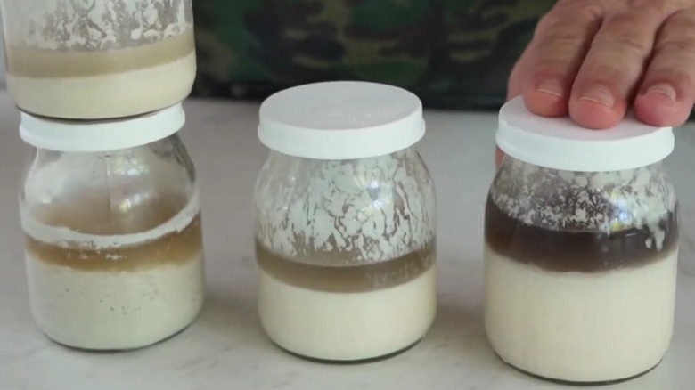 Jars containing sourdough starter and hooch sitting on a table