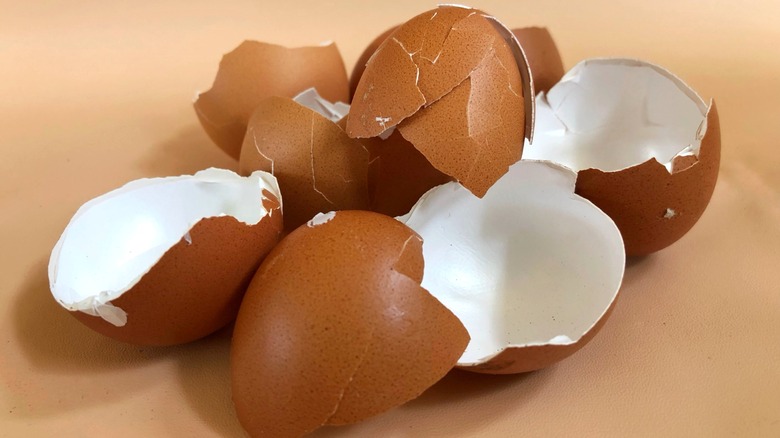 A small pile of cracked brown eggshells on a light brown surface