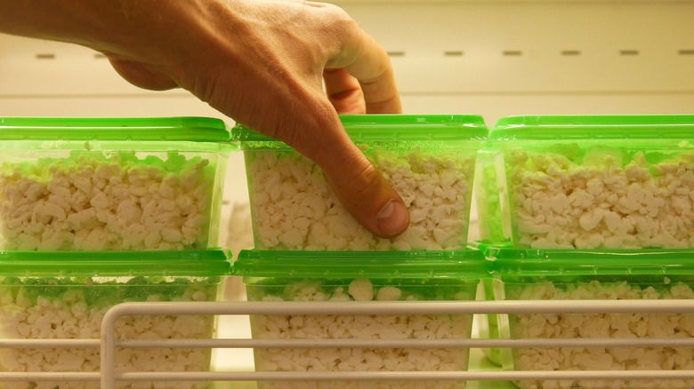 hand grabbing container of homemade cottage cheese in refrigerator