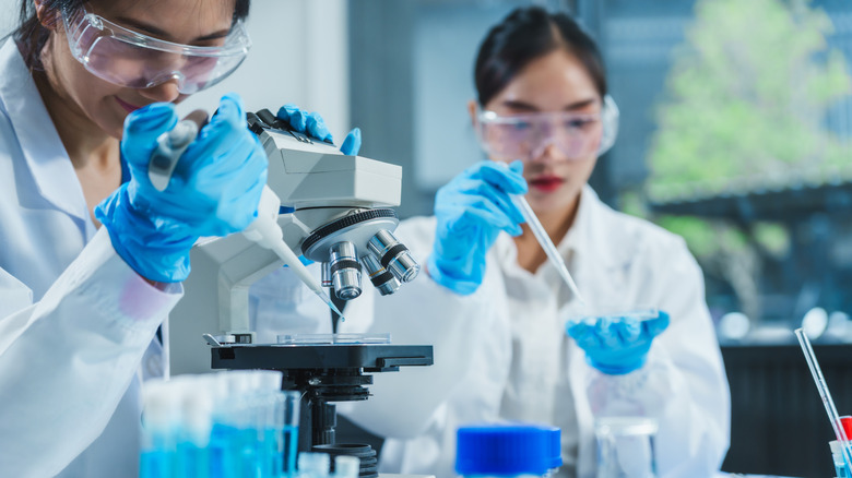 Two women in bio-medical lab