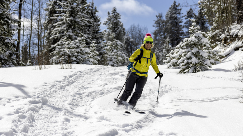 female skier heads down slope with fir trees