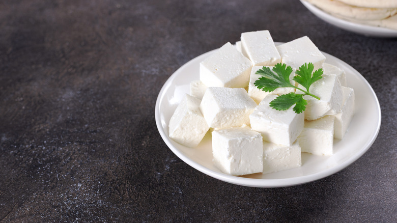 Paneer cheese on a white plate with parsley garnish