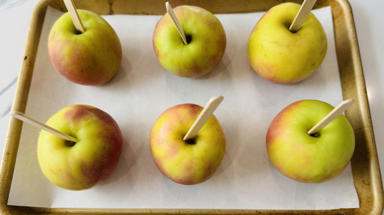 Apples with popsicle sticks