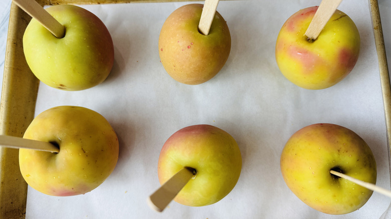 Caramel apples ready for dipping